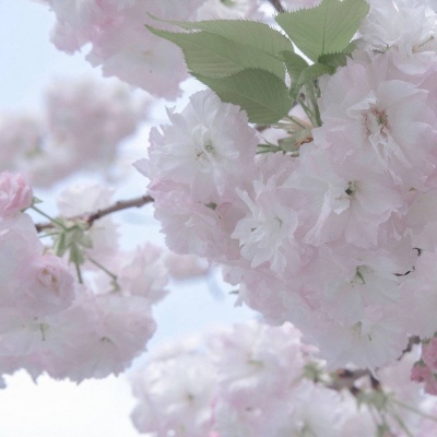 Furry绘画动态灵感兽圈社群